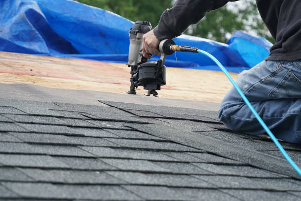 Best Solar Panel Roofing Installation  in Crosby, TX