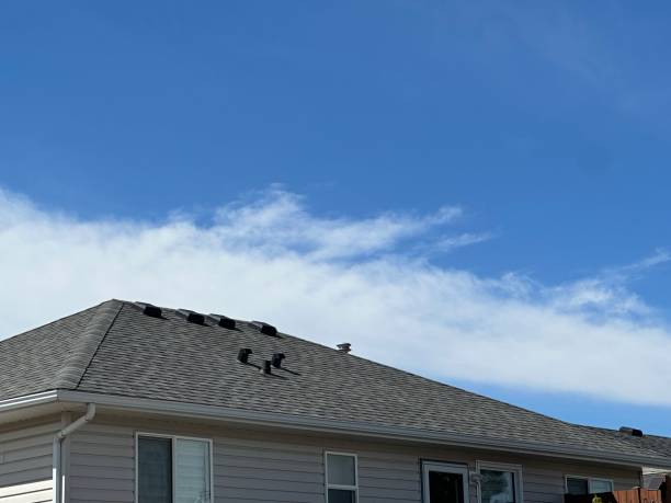 Best Gutter Installation and Repair  in Crosby, TX